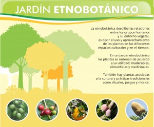 3 JARDÍN ETNOBOTÁNICO ok