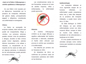 ChiKungunya 2