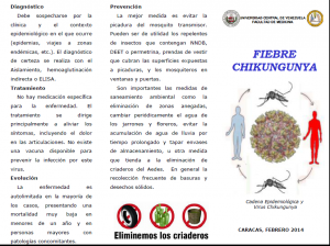 ChiKunguya 1