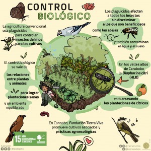 Control Biologico 1-01