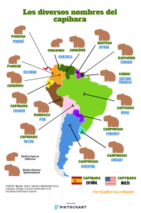 InfografiaNombresCapibara