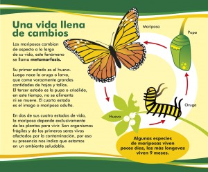 CARTEL 1