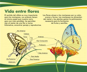 CARTEL 1